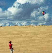 Load image into Gallery viewer, Flip | فليب - Prism Kites Kuwait