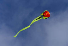 Load image into Gallery viewer, Bora 5 | بورا 5 - Prism Kites Kuwait
