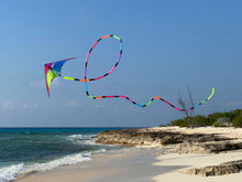 Load image into Gallery viewer, Tube tail Long 22m | ذيل طويل22 متر - Prism Kites Kuwait
